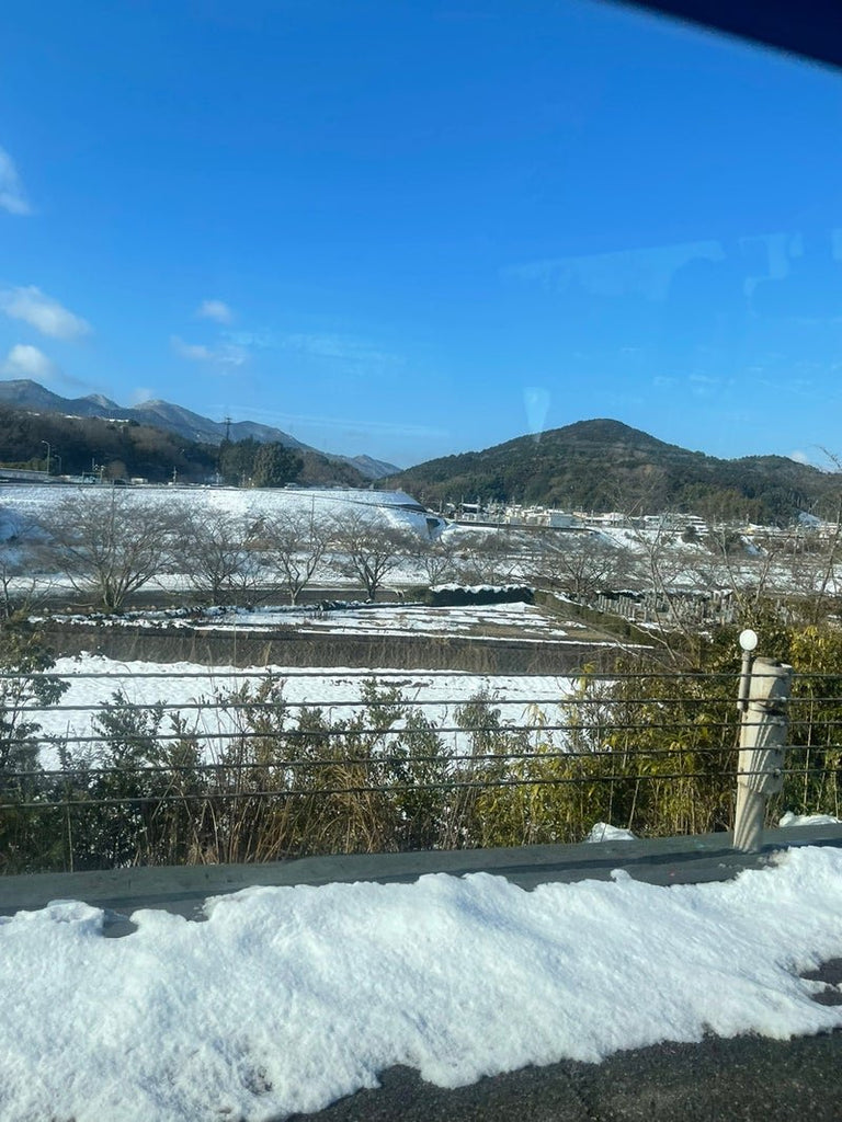 次回の革の市がやばそうなほど大量のヌメ革ゲット♪ - 新進工房